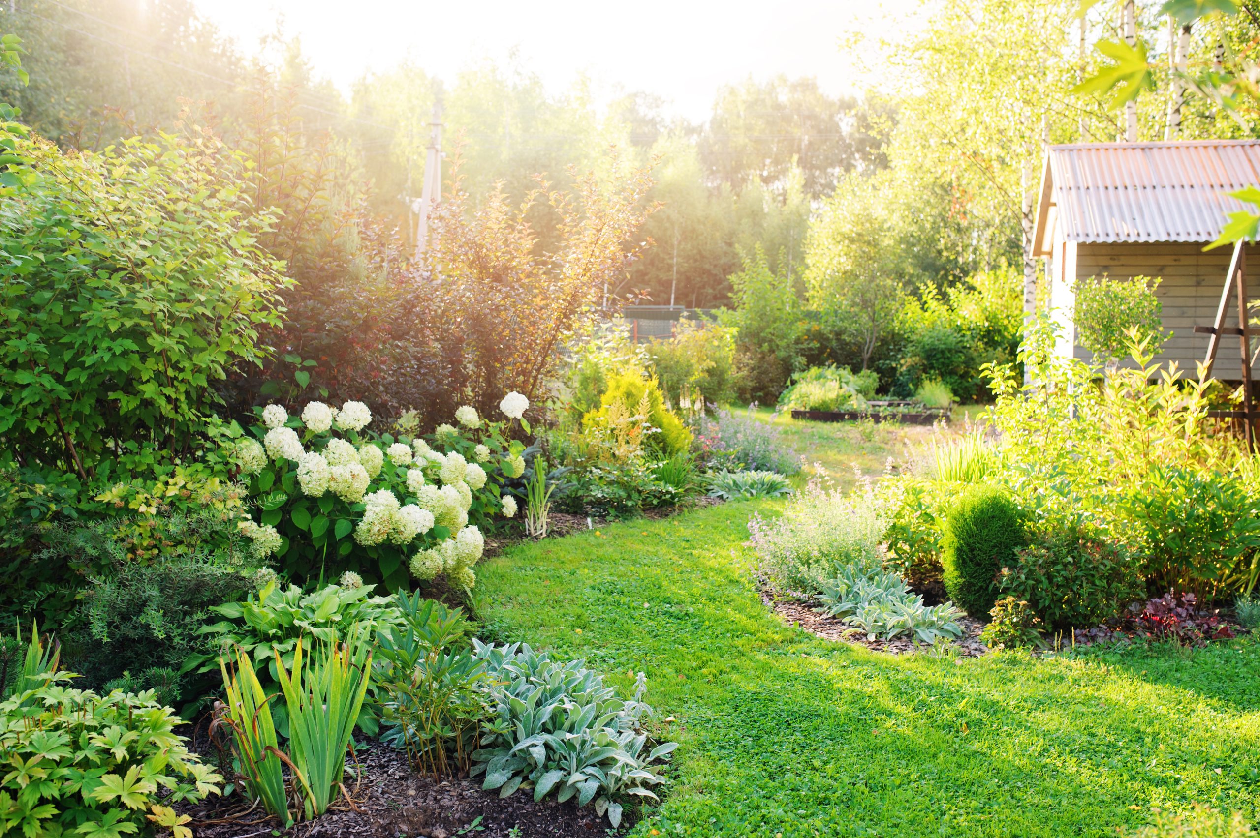 Upgrading Your Garden for Summertime in Bath Now that the weather is improving, you’re probably thinking of spending more time in the garden and enjoying the outdoors more. Even with lockdown restrictions gradually easing, some people will likely be waiting for further improvements in cases and vaccines. That’s why enjoying and getting the most out of your garden is essential. Maybe it’s time to upgrade your outdoor spaces in time for summer. Aussie is Bath’s favourite removals and storage company, but we’re also on hand to assist with home improvements. This can be anything, from advice on your garden to supplying a storage unit to help you create more space. From working with many associates in the housing market, we also understand how important gardens are now. This is our short guide on upgrading your garden in time for sunshine and more pleasant days. Contents Get Ready for Summer with a Garden Upgrade Spruce Up Furniture and Fences Decking and Add an Awning or Gazebo Cheap and Cheerful Lighting Options Reseeding the Grass or Replace with Decorative Pebbles Store Seasonal Garden Furniture & Equipment for More Space Keep DIY & Landscaping Materials Secure in Storage Hassle-Free Collection & Delivery with Man & Van Services Get Ready for Summer with a Garden Upgrade We’re having some interesting weather in the UK, but nothing new there. With a bit of luck, the pitch-black mornings and 4 pm sunsets will be a thing of the past. Those welcoming evening summer nights are so close you can touch them. So, let’s look at ways to prepare your garden and outdoor spaces in anticipation of the summer. The first thing you’ll need to do is evaluate the current state of play. Is your grass in poor condition with balding spots? Do you have any plants or flowers in need of TLC? What sort of garden furniture are you using? Is there any outside lighting? More importantly, are you ready to put your thinking cap on to create an inviting exterior space? Most people dream about having a beautiful garden, but the upkeep is too demanding. Furthermore, it’s expensive to create an idyllic back garden. The good news is there are ways of producing a tranquil space if that’s your goal. Plenty of other options exist for busy families who need something more robust. Spruce Up Furniture and Fences Let’s begin by assessing the current state of wooden furniture and fencing. Our focus throughout this blog will be on affordability and improvements in tandem. While durable, wood is also prone to bloating from water absorption. That’s why you must treat your fencing with creosote and mend or replace broken slats. Please give them the same treatment as any wooden furniture to ensure it lasts without any rot setting in. Prepare Wooden Surfaces Sand rough edges on your fence and garden furniture to avoid cuts or spelts. You can easily add furniture by utilising old pallets, which has been an ever-present trend that doesn’t seem to be fading. Click here to see an instructional article on creating pallet outdoor furniture. It’s an easy fix; you can make charming pieces with minimal investment. Sustainable Repurposing You can also assemble wooden flower or plant boxes for your garden or patio. Many people are turning their hand to growing vegetables as well. Some repurposing can go a long way for cheap and cheerful improvements. All you need is a few spare hours, elbow grease, good information and a few basic tools. Decking and Add an Awning or Gazebo This is for people looking for a slightly more involved garden overhaul with some moderate or major updates. Installing some outside decking will transform your patio or outdoor area. Doing this will reduce maintenance and make your back garden more accessible. You’ll enjoy many a barbeque and summer evening on your brand-new deck. Benefits of Shaded Items Unlike the pallet garden furniture, we recommend working with a professional to install it unless you have building experience. You can also think of additional features to complement your deck. An awning or gazebo will help protect against harmful UV rays and provide shade for hot days. Plus, your drinks will stay cool when the sun’s out. Research DIY Techniques Awnings and gazebos also fold away when not in use so that they won’t get in the way. If you’re considering trying this yourself, there are some online tips for laying decking and assembling a gazebo. Aussie will happily assist with collections and deliveries of materials with our Man & Van service. Furthermore, self storage units are available to store any wood and tools for the job. Cheap and Cheerful Lighting Options There are some excellent ideas for affordable outside lights, and they’re the perfect addition to your new garden. You can read up here if you’re feeling thrifty and creative and need some ideas. But there are bound to be issues with electrical points and wiring. You’ll need to ensure the lights are powered by a battery, which still causes a few headaches due to bad weather. Using Solar Lights We will stick with solar lights and show you how you can apply other methods to present them. The first suggestion is to buy some affordable solar lights and place them strategically around your garden. There are more options regarding design, and some even have colour filters as an excellent addition. However, you can also let your creative juices flow to see what you can do with this light source. Creative Touches You can hang solar lights using mason jars and rope handles—remember to charge the lights throughout the day. Another method is to cut out a stencil to go into the mason jar, creating new effects and shapes. You can also experiment with plant holders and furniture to attach solar lights. Using smaller lights, install several wooden posts and make a string-light effect. Inviting Outdoor Spaces Before you know it, you’ll have some tasteful illuminations for your back garden, which are inviting and comforting. The ideal way to continue enjoying the evening as the sun gradually sets. If you fancy keeping things going for the colder months, it’s possible to introduce an outside heat lamp and/or a wood burner. Reseeding the Grass or Replace with Decorative Pebbles Depending on your circumstances, you might need some grass for the little ones. This will affect whether you can have flowers or plants, as they might get damaged. You can uproot any problem weeds and use some child-friendly grass seeds. Remember to assess the quality of the soil, prepare it with fertiliser where necessary, and water regularly. Consider Replacing Grass with Pebbles If you don’t need grass, it might be worth replacing it with decorative pebbles and stones. Maintenance is much less expensive, but you must remove any weeds first. They can add a lot of character, and you can add outdoor pot plants for greenery. You can also add different colour schemes to create an outdoor mosaic effect. Mix and Match There’s also an option to mix and match grass and pebbles. The latter is an excellent way of bordering a garden for both style and upkeep. Just remember to spray weed killer regularly to prevent any unseemly sprouts. The best thing about using stones is they’re affordable and straightforward to place in your garden. As long as you plan and do your homework, there shouldn’t be any issues with weeds. Store Seasonal Garden Furniture & Equipment for More Space Let's make more space to realise your summer ambitions for your outdoor areas fully. While the garden shed and garage are the usual suspects for this purpose, neither guarantees the protection of your garden furniture and equipment from rust. On the other hand, storage units are purpose-built for this purpose and reduce opportunist theft. Free Up Space for Summer Gatherings Large furniture (patio sets, loungers, gazebos) takes up valuable space, but you may not be ready to get rid of them. You can store unused items to maximise your garden area while keeping them for future use. Then, you have more room for outdoor dining, BBQ setups, or kids’ play areas. Protect Furniture from Weather Damage You may dream of summer and sunshine, but that’s still some way off. Store it during colder months or the unpredictable English weather to prevent weather wear on delicate or expensive furniture. Insulated storage keeps items safe from dampness, mould, and rust. Checklist: What to Store Off-Season If you’re still unsure how to proceed, here’s a brief checklist for off-season storage: Unused garden chairs, tables, and parasols. Fire pits and patio heaters (during summer). Gardening tools and lawnmowers (when not in use). Paddling pools and outdoor activities (when not in use). Keep DIY & Landscaping Materials Secure in Storage If you’re a DIY enthusiast, upgrading your garden and outdoor areas for summer is likely your passion. However, we’re still on the theme of avoiding adding more clutter to your garage, garden shed or loft. That’s where storage becomes your ideal DIY companion. Prevent Clutter While Upgrading Your Garden Don't let bags of gravel, decking wood, or plant pots take over your outdoor space. Use short-term storage to keep your worksite tidy and efficient while protecting your materials from the elements. Secure Expensive Tools & Materials It goes without saying that you should avoid leaving high-value tools outside or in a shed. The benefit of self storage is the additional security measures, such as 24-hour CCTV-monitored storage, which protect against theft and weather damage. List: Tools & Materials That Benefit from Storage Here are a few examples of things our customers keep in storage when performing upgrades: Power tools, drills, saws, sanders and nailguns. Large sacks of compost, soil, or decorative pebbles. Unassembled pergolas, decking boards, and awnings. Hassle-Free Collection & Delivery with Man & Van Services Preparing and lugging things to everything from your garden to a storage unit isn’t complication-free, especially if you don’t have a big enough car or van. Luckily, you don’t have to when using our man and van service. Easier Transport for Heavy Garden Upgrades There’s no need to struggle with bulky furniture or heavy materials and risk a back injury. Aussie’s Man & Van can collect and deliver straight to your home or storage unit while giving you the best handling and packing skills. Quick Storage Drop-Off & Retrieval Our storage facilities are designed for convenient seasonal storage—simply drop off furniture in winter and retrieve it in spring. Our drive-up units make loading and unloading effortless. When to Use a Man & Van for Garden Projects When you don’t have assistance moving heavy decking materials or garden stones. Transporting outdoor furniture to/from storage when you don’t have a suitably large enough vehicle. Collecting large garden purchases from stores or suppliers. Aussie Man & Van – Make the Most of Outdoor Spaces Everyone at Aussie looks forward to warmer weather and longer sunshine days in the upcoming weeks and months. After a challenging year and a bit, we all deserve some extra hours to relax and unwind. It’s possible to improve your garden and outdoor spaces without much upfront expenditure. And we hope this blog will give you some ideas on where to start. We can help with our man and van service for anyone stuck waiting for a vehicle to collect or deliver items. Storage is essential for anyone making home or garden upgrades, and people and professionals rent with us. Self storage has no limits to access during business hours, which makes it convenient and secure. And there’s no minimum contract to worry about. It’s a store as long as you need to deal with Aussie. If you’re looking for proactive ways to welcome the sun with garden upgrades, please contact us today. We can offer plenty of advice on how to do so within a modest budget and provide services to help you complete the job.